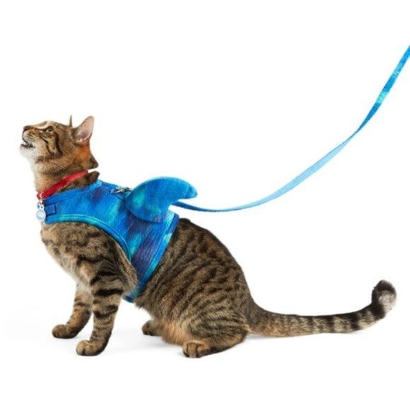 Bootique Other - Land Shark Cat Harness & Leash Set NWT